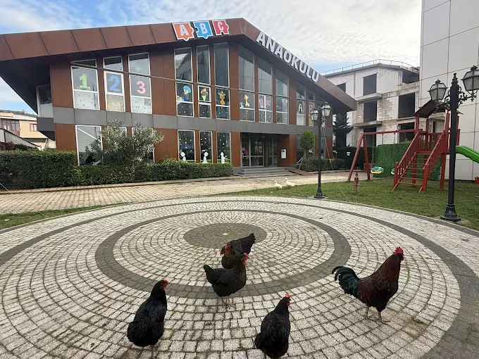 Özel Akıl Bilgi Cevher (Abc) Anaokulu görsel 10