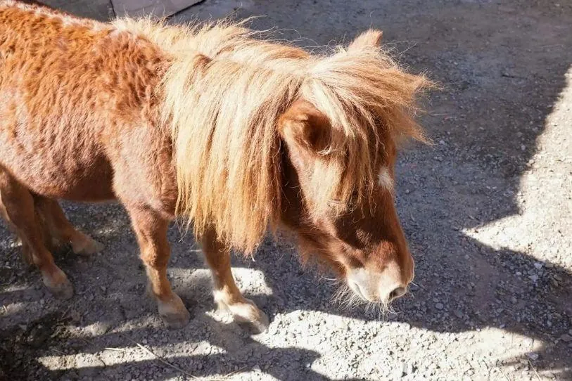Özel Akrıda Anaokulu görsel 8