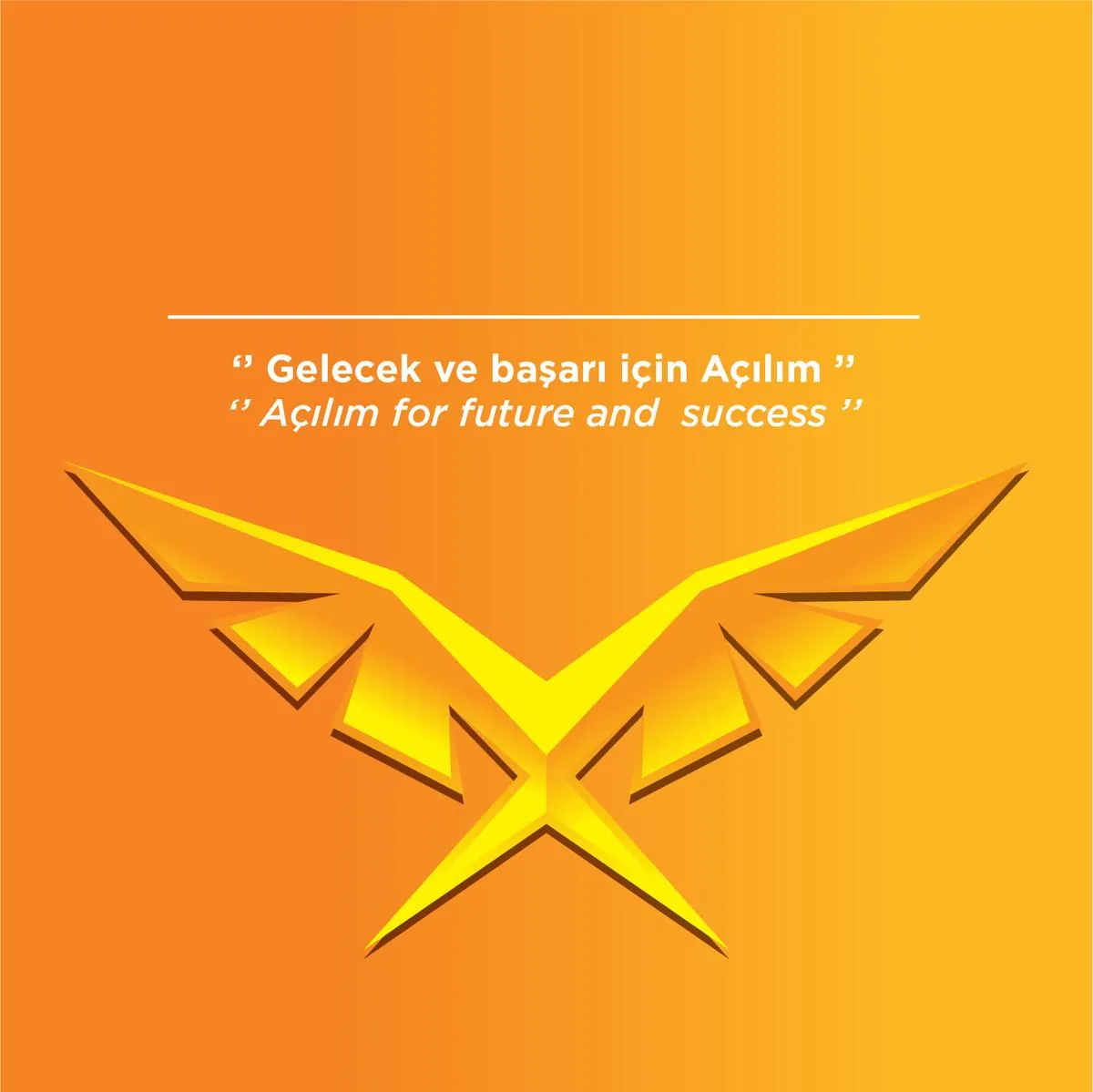 Özel Ankara Açılım Koleji Anaokulu görsel 6