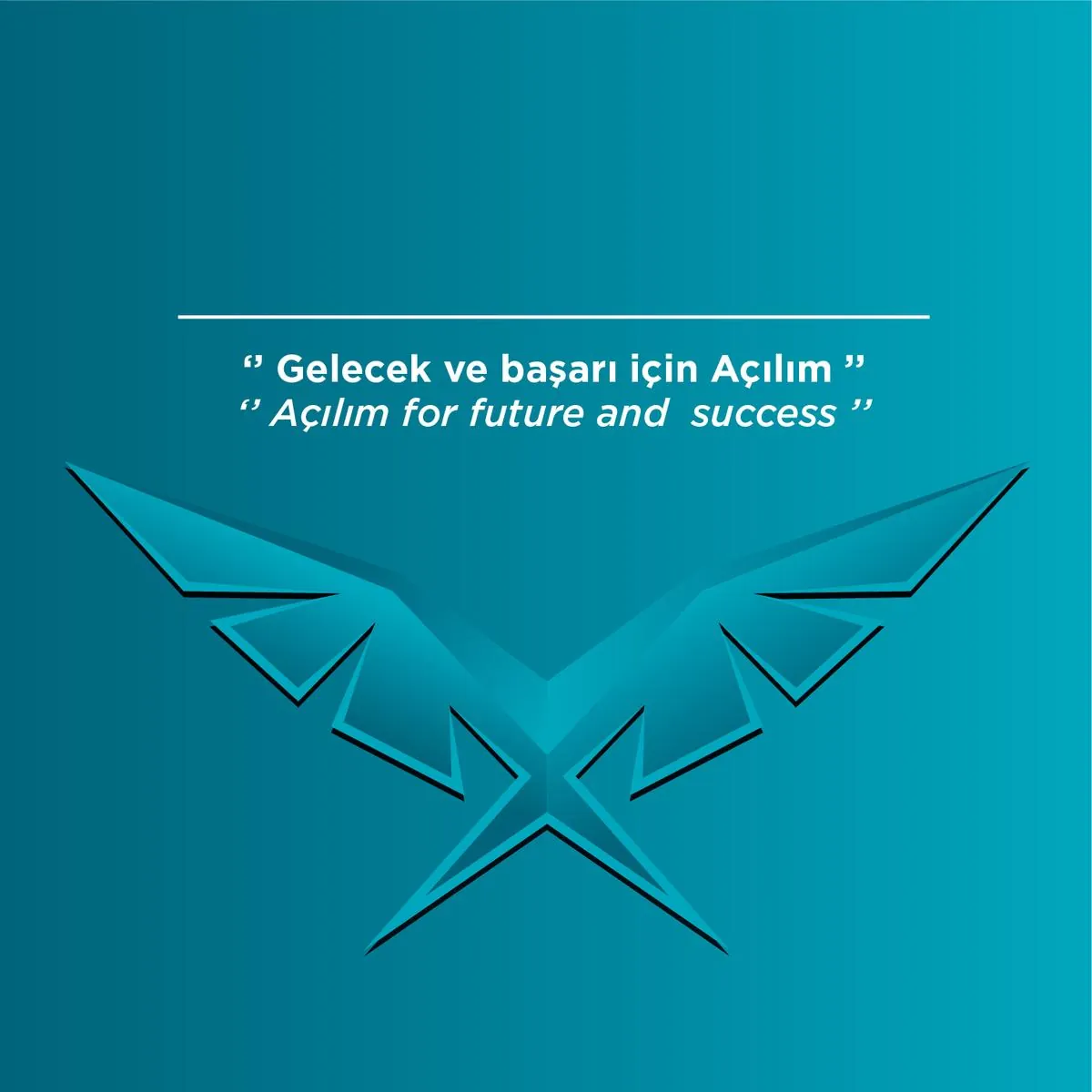 Özel Ankara Açılım Koleji Anaokulu görsel 7