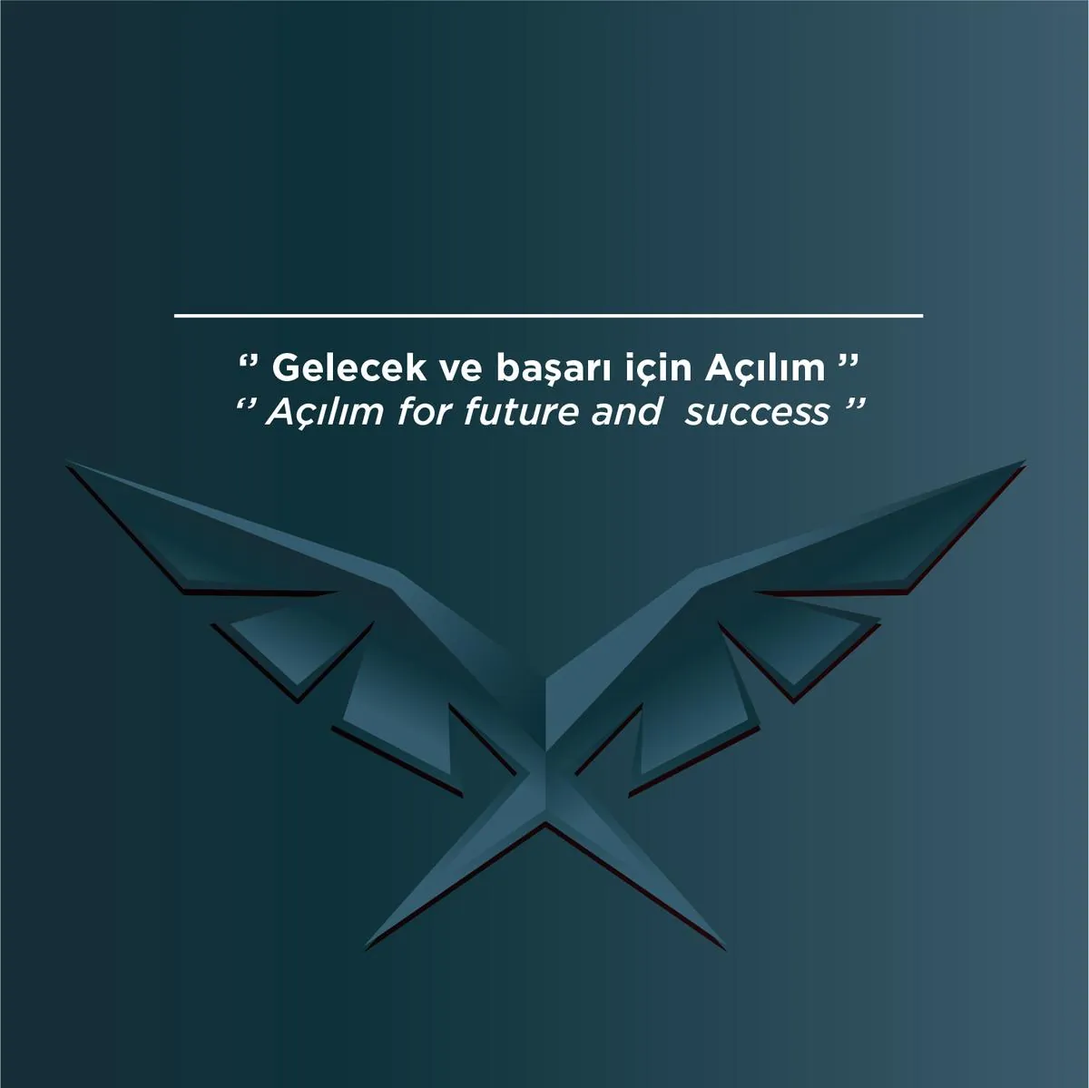 Özel Ankara Açılım Koleji Anaokulu görsel 8