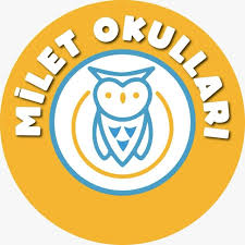 Özel Avcılar Milenyum Etkisi (Milet) Anaokulu