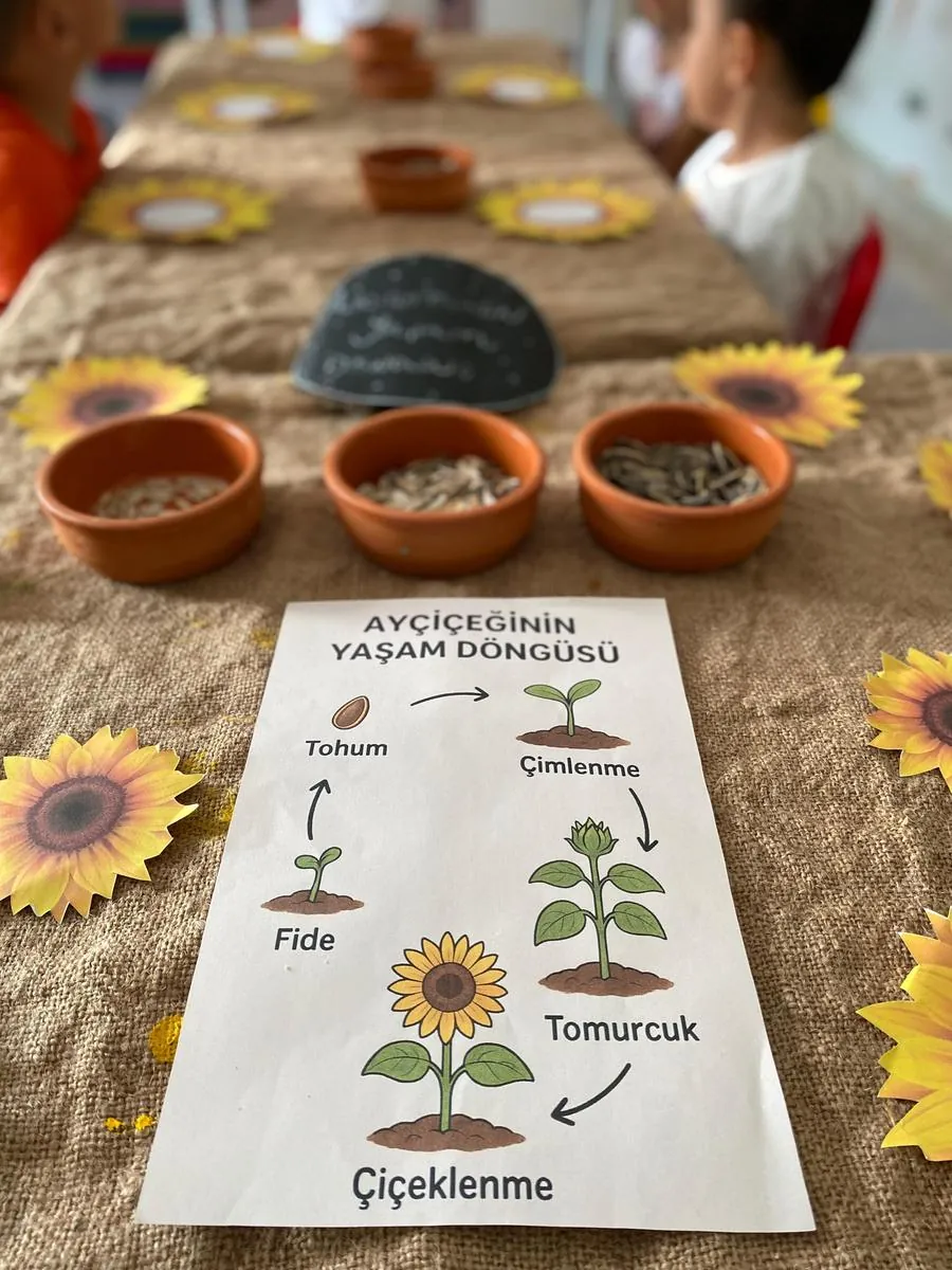 Özel Aydınlık Yarınlar Anaokulu görsel 8