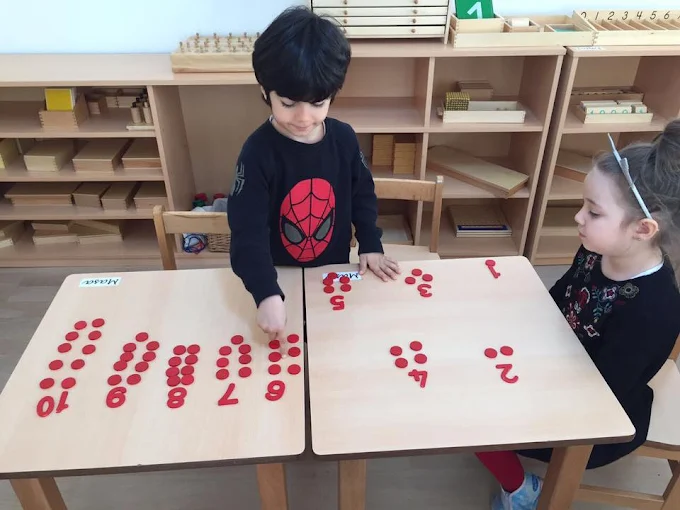 Özel Balarısı Anaokulu