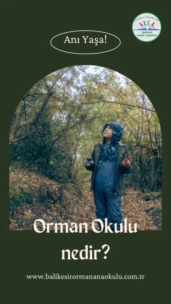 Özel Balıkesir Orman Anaokulu