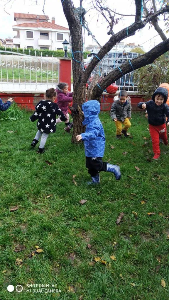Özel Balıkesir Orman Anaokulu görsel 2