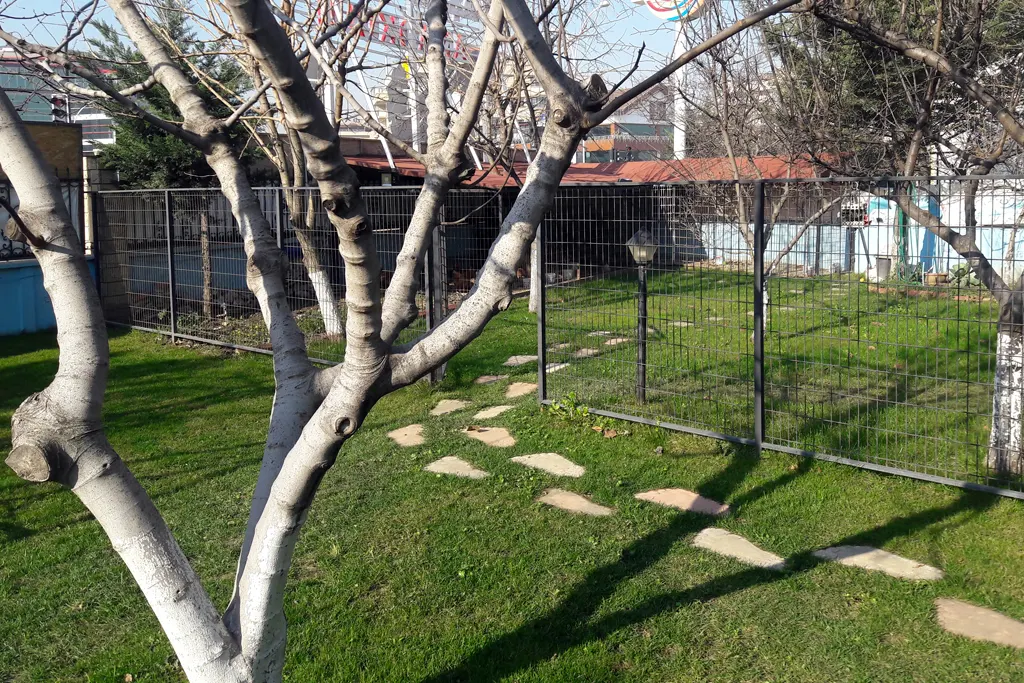 Özel Başarı Parkı Anaokulu görsel 3