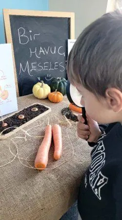 Özel Başkent Bilge Okulları Anaokulu görsel 9