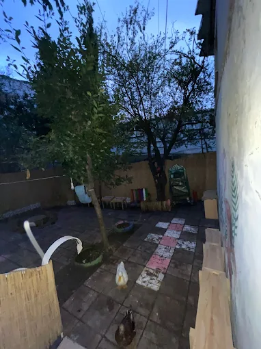 Özel Bayrampaşa Pırlangıç Anaokulu görsel 9
