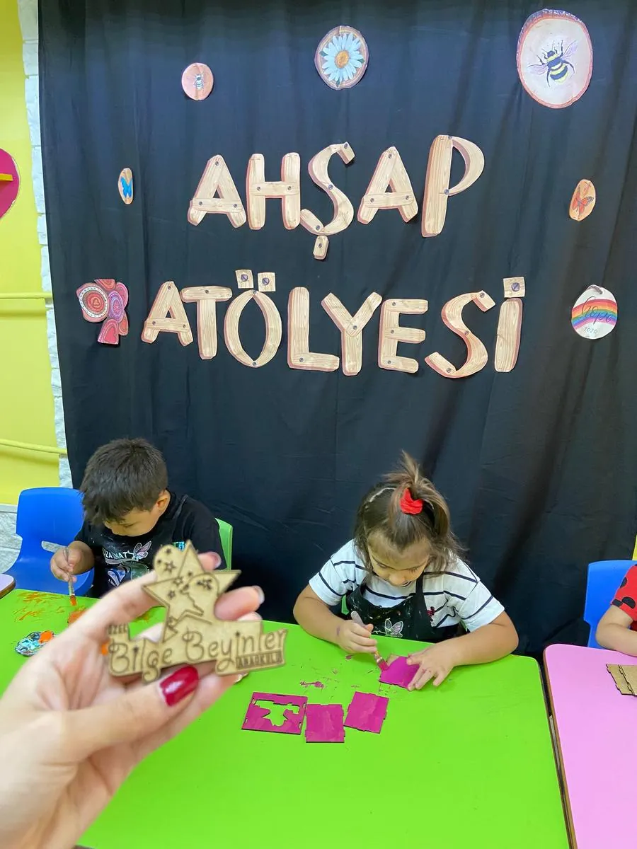 Özel Bilge Beyinler Anaokulu