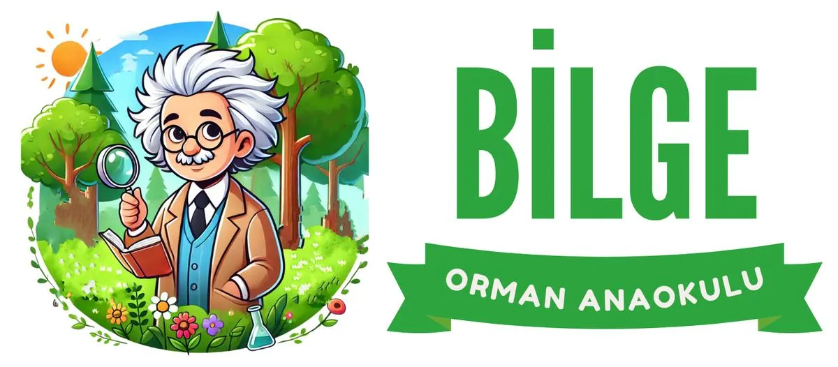 Özel Bilge Orman Anaokulu görsel 2