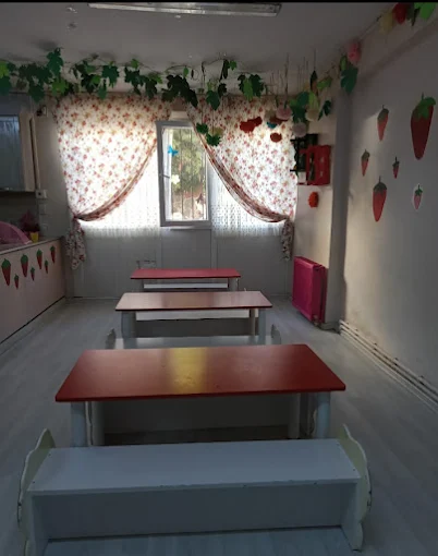 Özel Bilgi Işığı Anaokulu görsel 4
