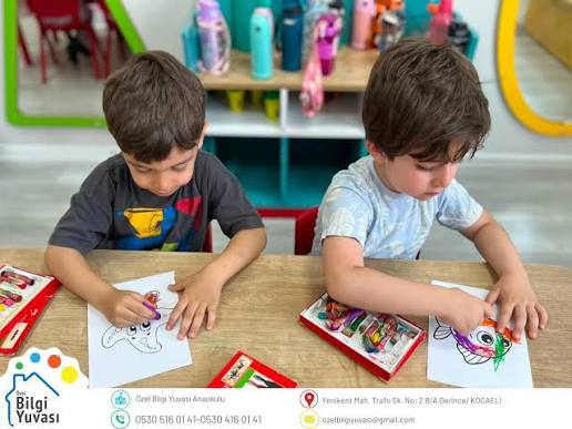 Özel Bilgi Yuvası Anaokulu görsel 2