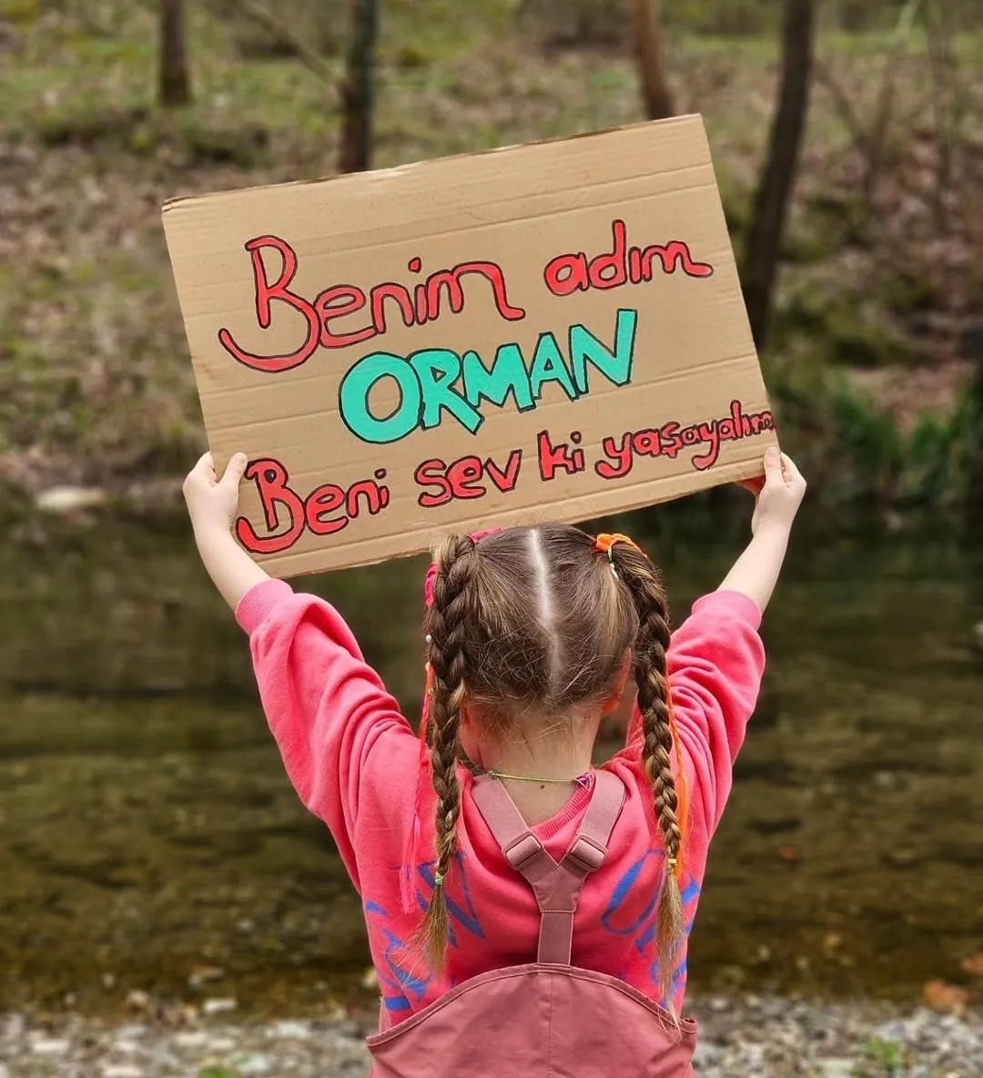 Özel Bir Orman Anaokulu