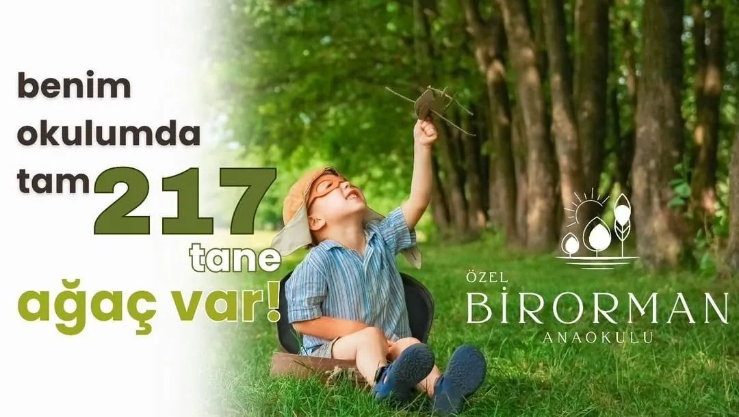 Özel Bir Orman Anaokulu görsel 10