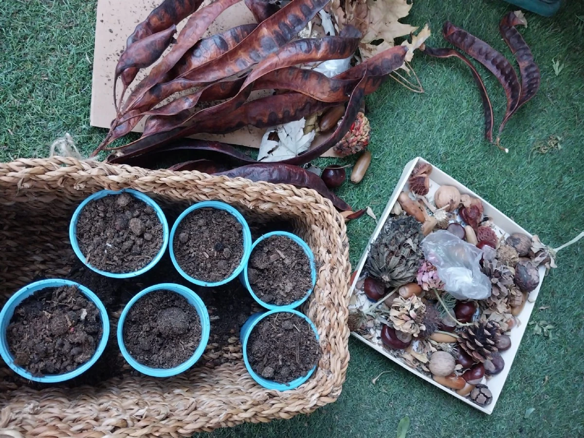 Özel Bizim Can  Anaokulu görsel 3