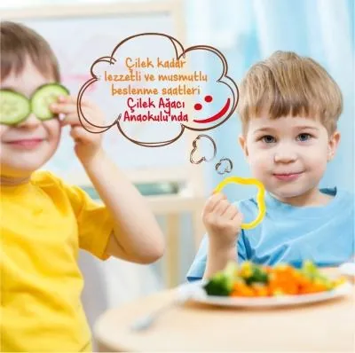 Özel Çilek Ağacı Anaokulu görsel 8