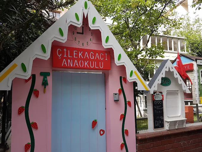 Özel Çilek Ağacı Anaokulu görsel 9