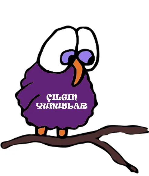 Özel Çılgın Yunuslar Anaokulu