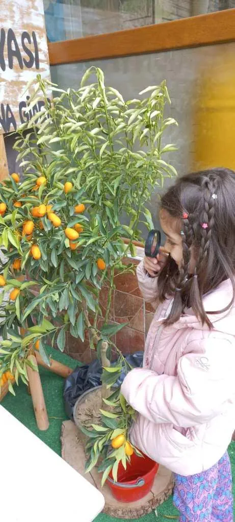 Özel Çocukların Dünyası Anaokulu