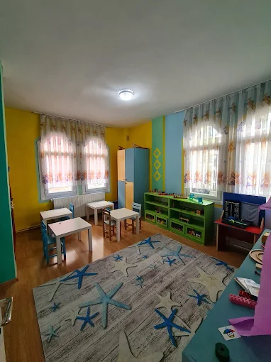 Özel Dahi Beyinler Anaokulu görsel 7