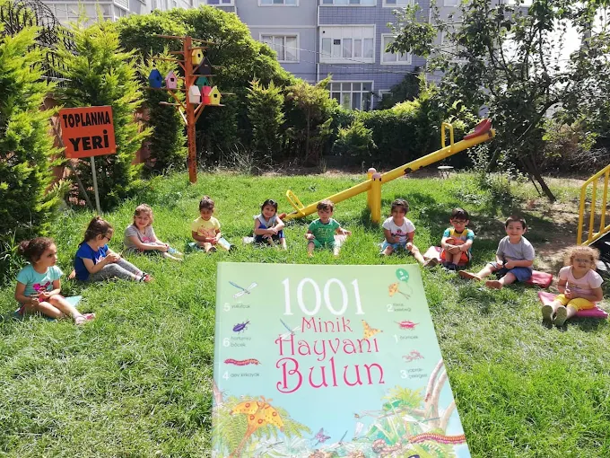 Özel Darıca Su Anaokulu görsel 3