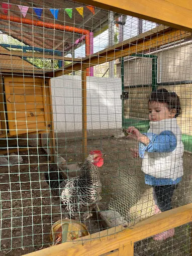 Özel Doğa Sevgi Pınarı Anaokulu görsel 3