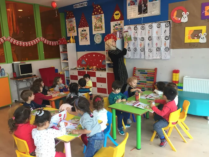 Özel Düş Bilginleri Anaokulu görsel 3