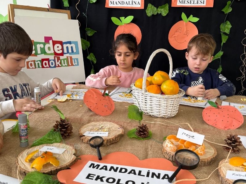 Özel Erdem Anaokulu görsel 6