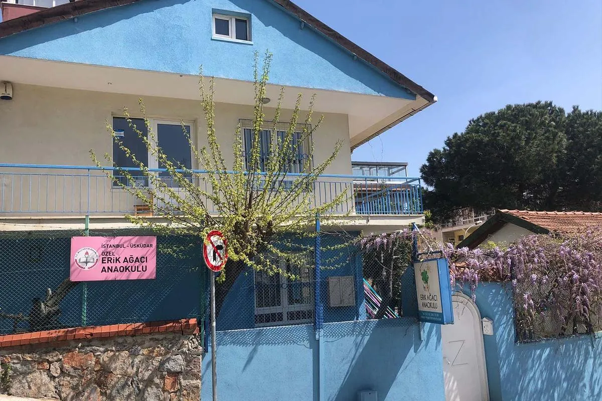 Özel Erik Ağacı Anaokulu görsel 2