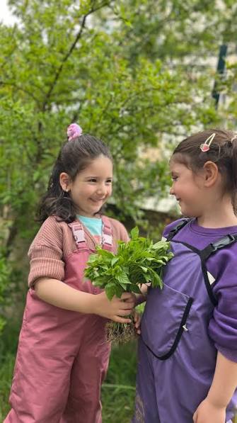 Özel Fatsa Hayal Dünyam Anaokulu
