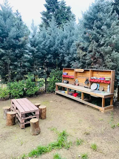 Özel Gebze Minik Çınar Anaokulu görsel 6