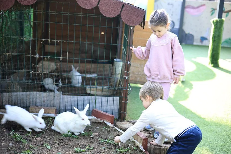 Özel Gülümse Çocuk Anaokulu görsel 6