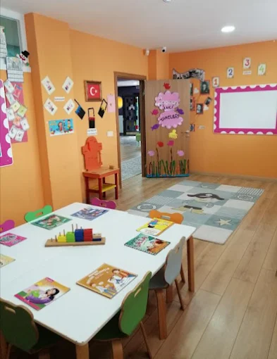 Özel Güneşli İstanbul Koleji Anaokulu görsel 4