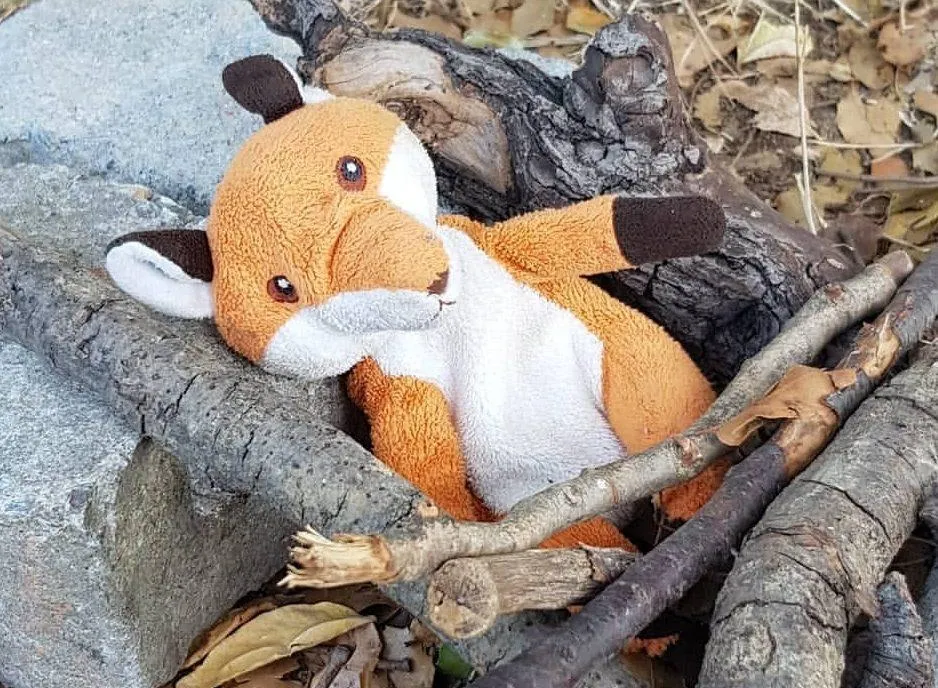 Özel Küçük Orman Anaokulu görsel 2