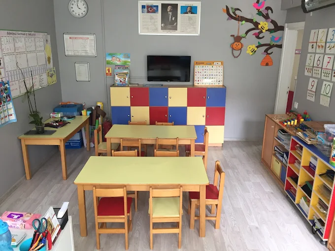 Özel Minik Balarısı Anaokulu görsel 4