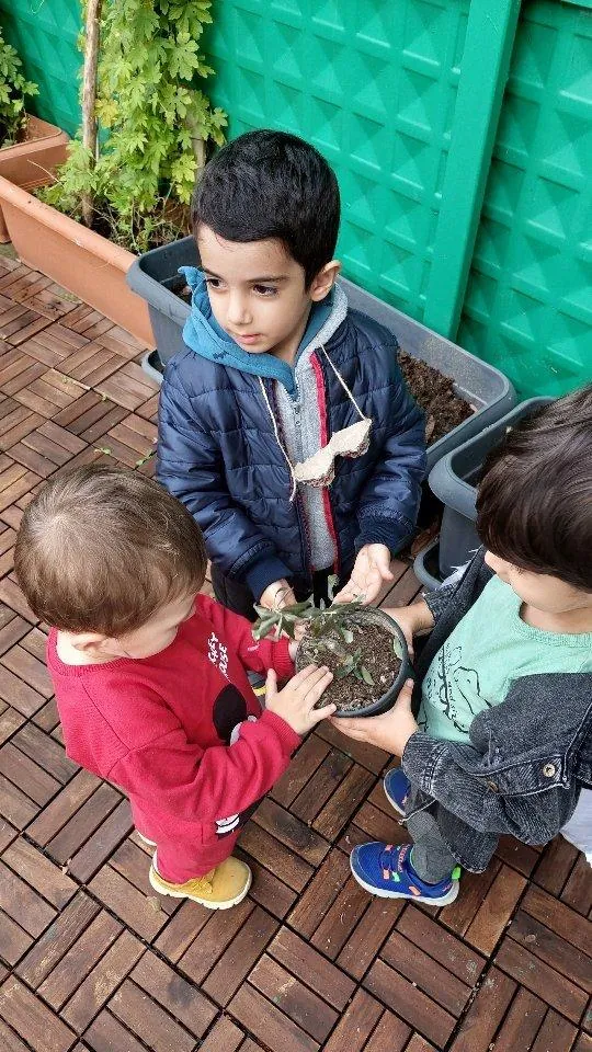 Özel Mürüvvet Eğitim Kurumları (Mek) Alfa Koleji Anaokulu görsel 5