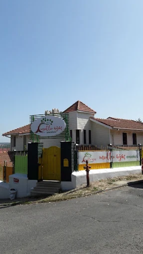 Özel Mutlu Ağaç Anaokulu