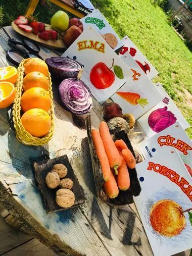 Özel Naturel Yaşam Anaokulu görsel 6