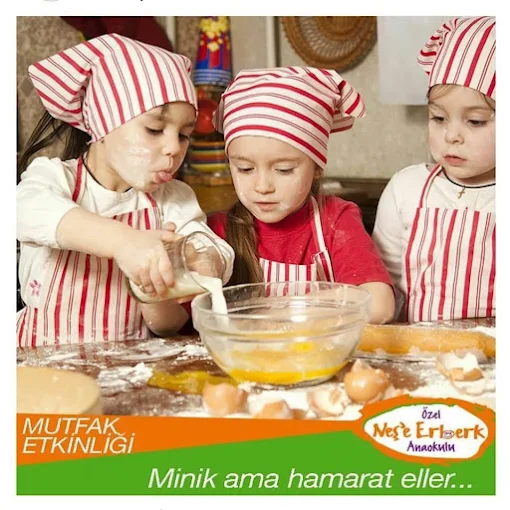 Özel Neşe Erberk Anaokulu görsel 2