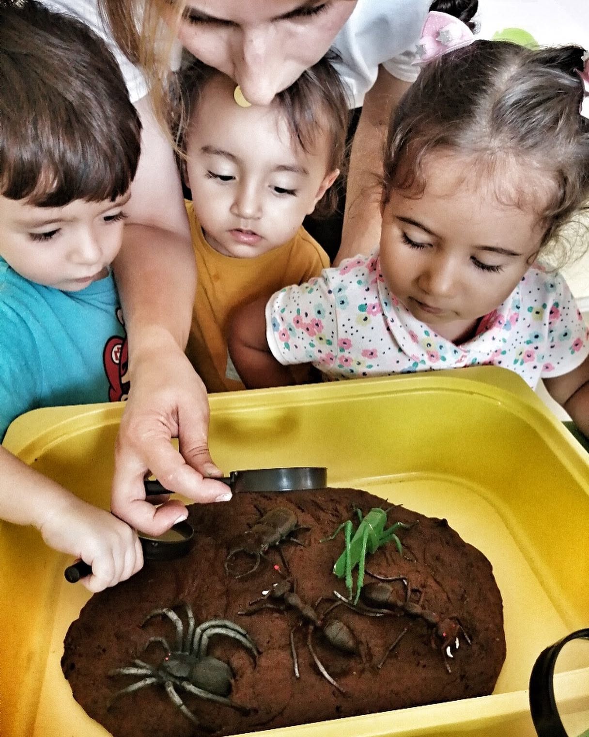 Özel Neşe Erberk Anaokulu