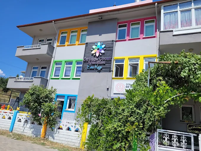 Özel Öz Bilge Çocuk Anaokulu görsel 10