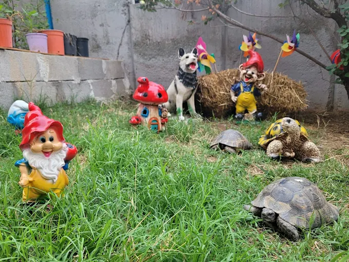 Özel Öz Bilge Çocuk Anaokulu görsel 5