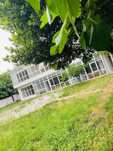 Özel Pendik Koza Gelişim Anaokulu görsel 2