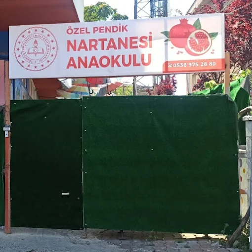 Özel Pendik Nartanesi Anaokulu görsel 2