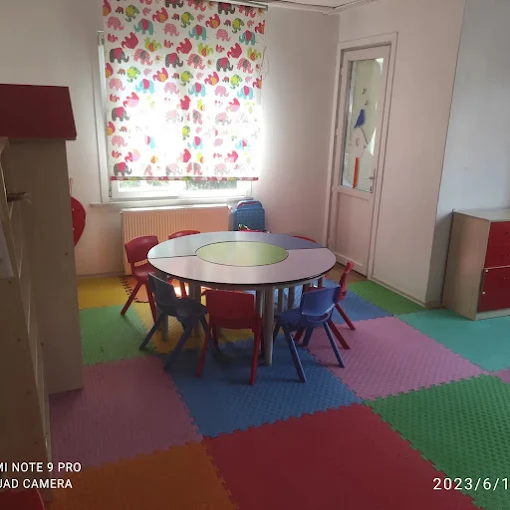 Özel Pendik Nartanesi Anaokulu görsel 5