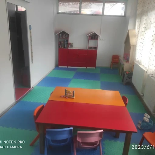 Özel Pendik Nartanesi Anaokulu görsel 6