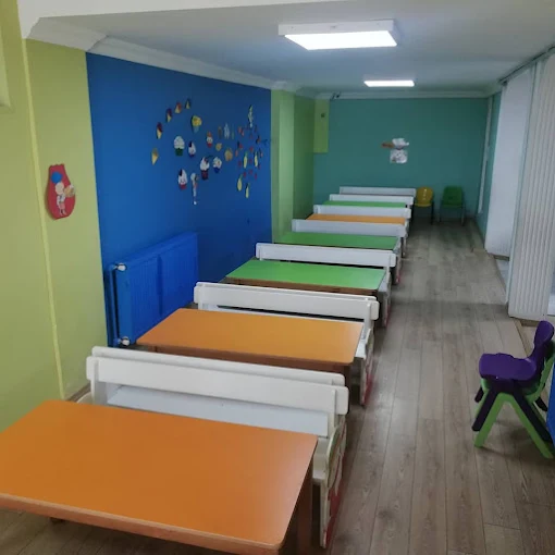 Özel Portakal Ağacı Anaokulu görsel 9