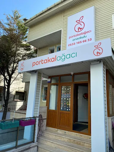 Özel Portakal Ağacı Anaokulu