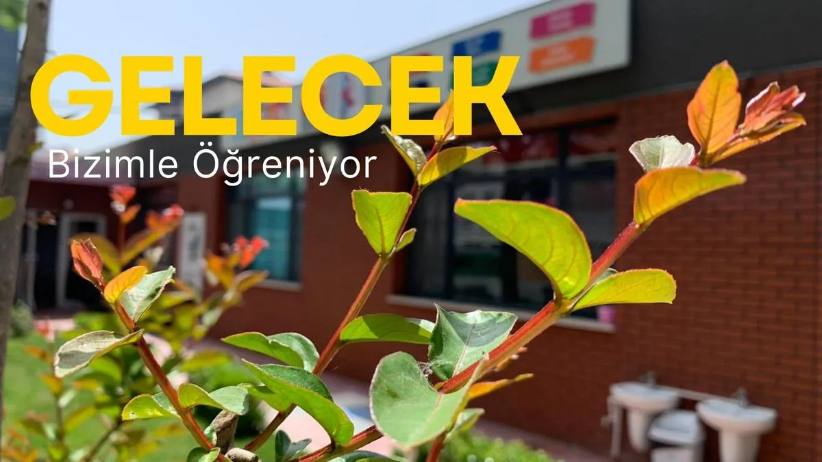 Özel Rengin Anaokulu görsel 5